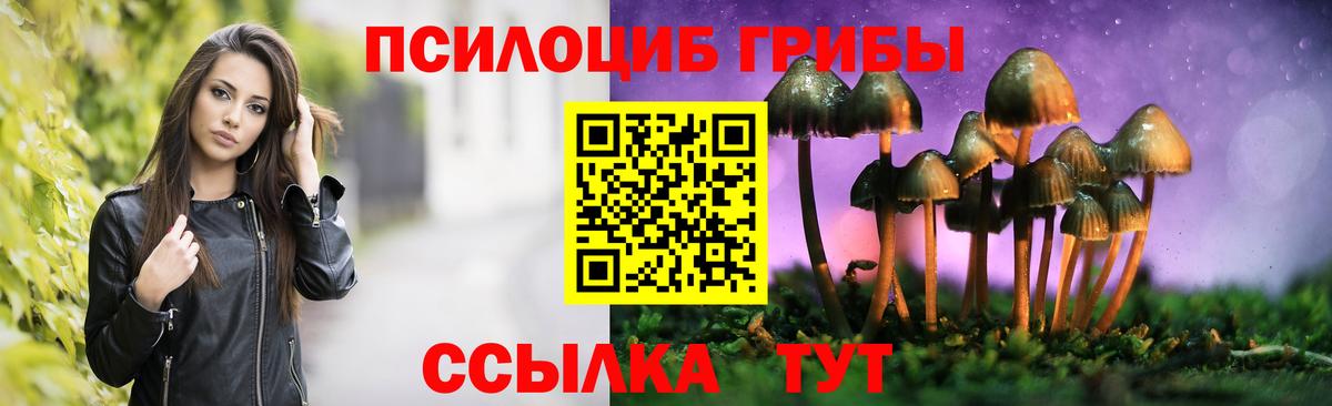 купить   Псилоцибиновые грибы мухоморы  Вход с VPN  Псилоцибиновые грибы мицелий  Димитровград 